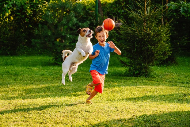 Junge spielt mit Hund im Garten - Kleinhunde für Familien