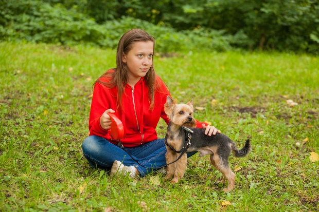 Junges Frauchen mit Yorkshire Terrier - Kleinhunde für die Familie