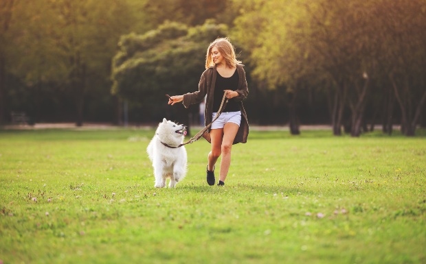 Bewegung und gesunde Ernährung sind der Schlüssel für vitale Hunde Frau spielt mit Hund im Park