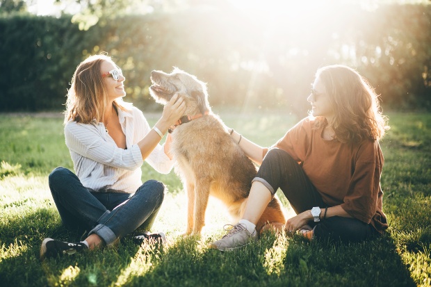 Zwei junge Frauen kümmern sich um einen Hund - Dogsharing 