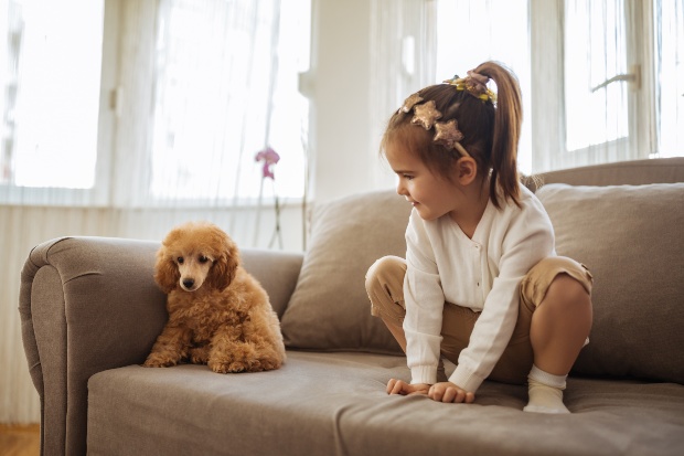 Junger Hund verwirrt mit einem kleinen Kind auf dem Sofa