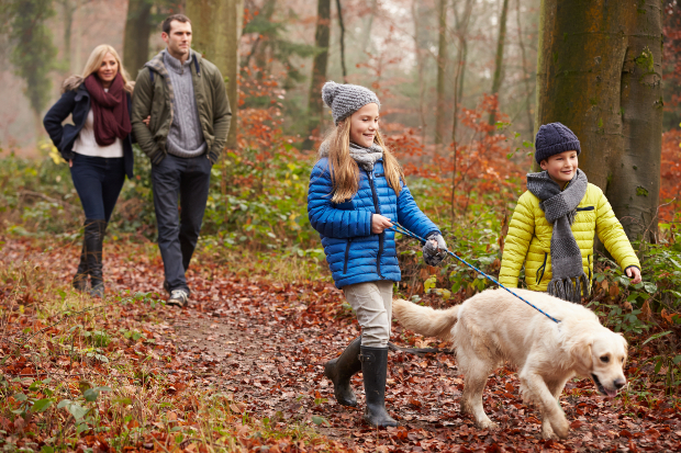 Familie spaziert mit Hund im Wald