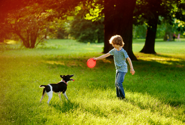 Wichtig ist, dass der Hund aufgewärmt und die Umgebung sicher ist