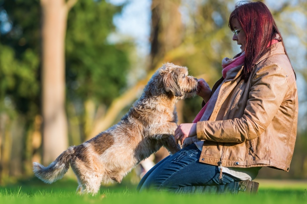 Älterer Hund bekommt Leckerli von Frauchen - Hundesenioren profitieren von gesunder Ernährung