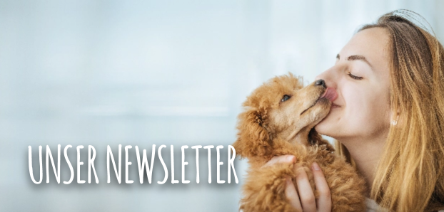 https://www.hunde-kausnacks.de/media/10/14/8b/1721992973/teaser_newsletter.png?1721992973