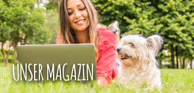 https://www.hunde-kausnacks.de/media/f3/ea/5f/1721992962/teaser_magazine.png?1721992962