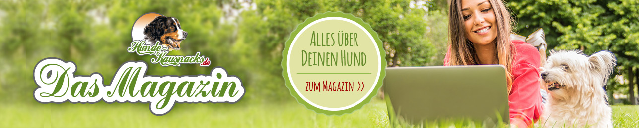 media/image/magazin-banner-1287x260.jpg