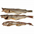 Schellfisch Gr.3 ( ganze Fische )