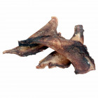 Hirsch-Schulterblattsehnne Scapula